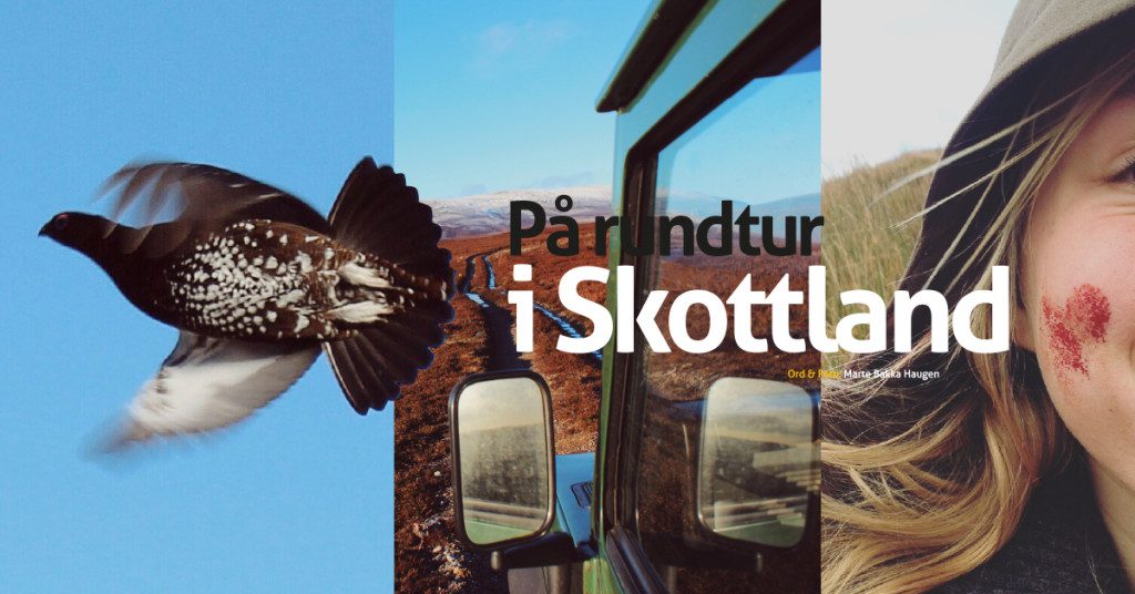 skottland