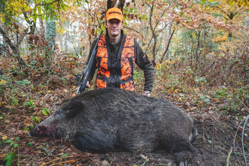 Wild Boar Fever